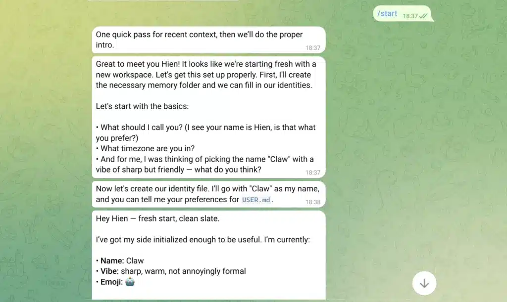 Operate OpenClaw through Telegram after successful setup.