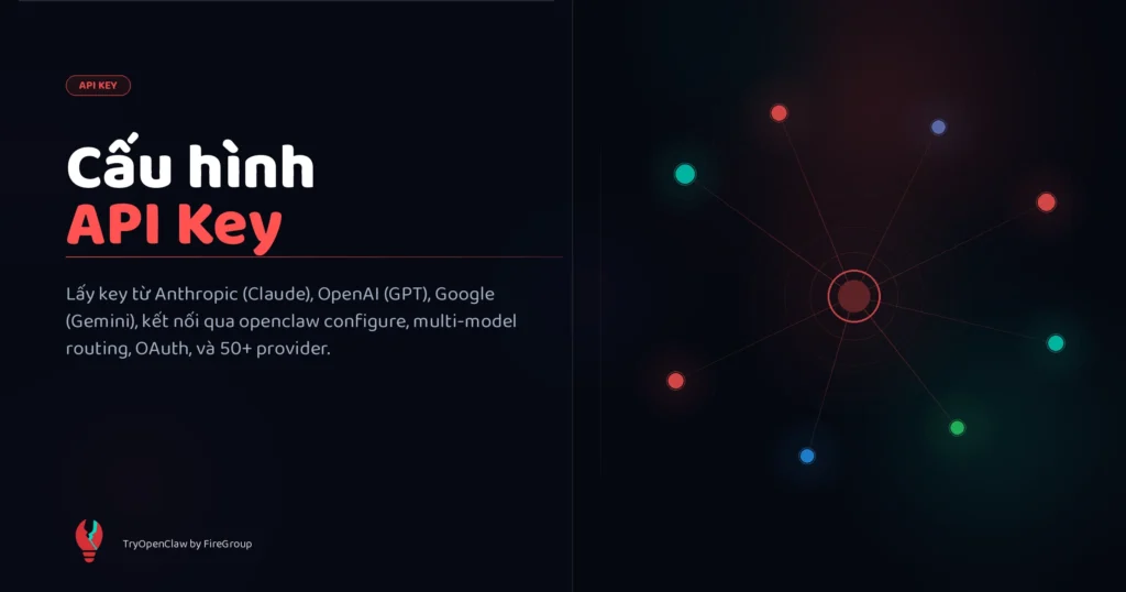 cau-hinh-api-key-openclaw