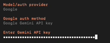 Chọn Model/Auth Provider