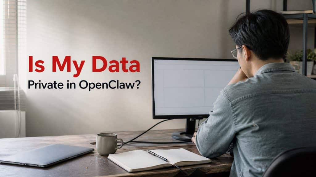 Developer checking private cloud access for OpenClaw data privacy